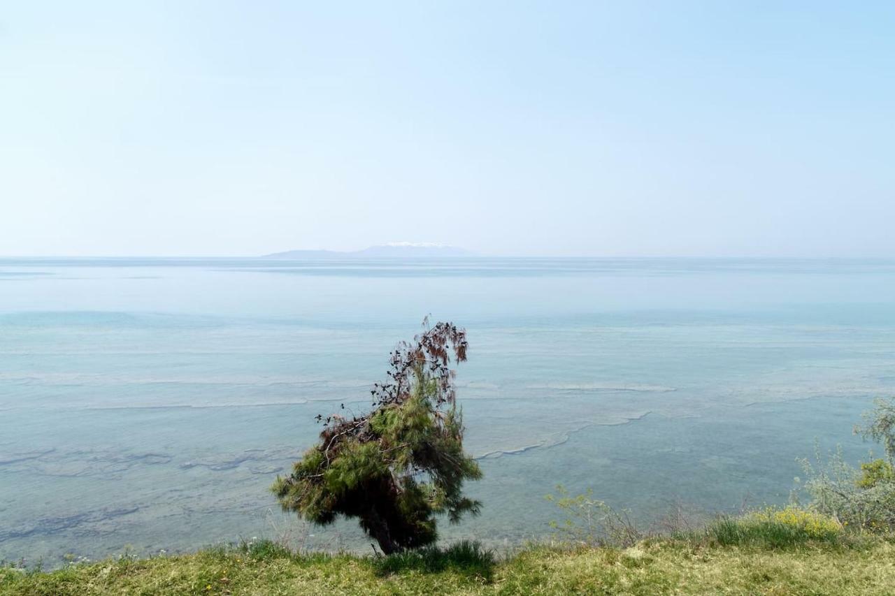 Villa Alexandra نيا إيراكليا المظهر الخارجي الصورة